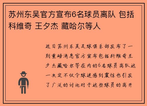 苏州东吴官方宣布6名球员离队 包括科维奇 王夕杰 藏哈尔等人